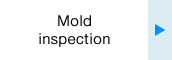 Mold inspection